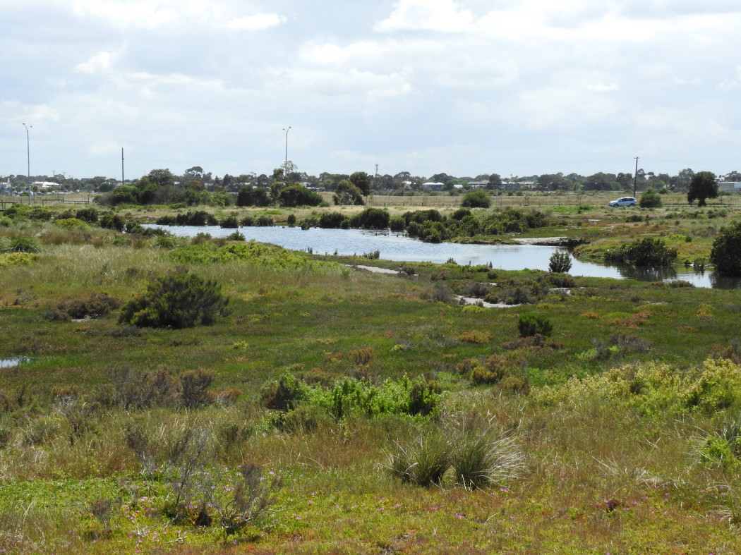 Paisley-Challis wetlands near Kororoit Creek Road