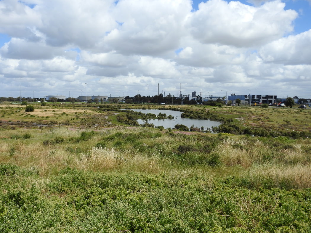 Paisley-Challis wetlands looking to the west